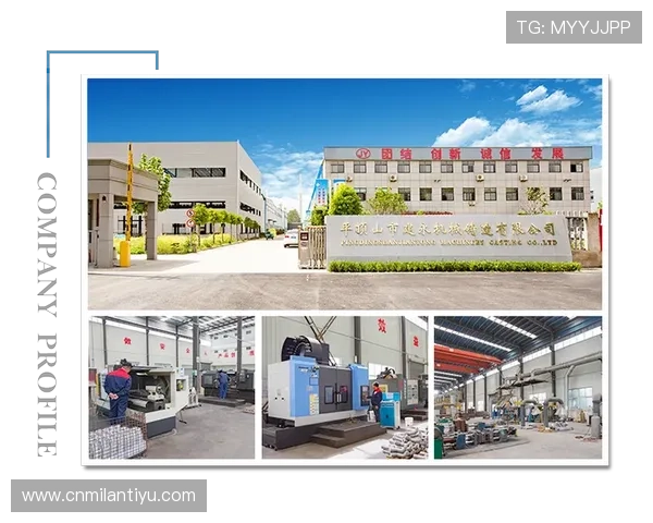 米兰公司简介：米兰企业的创新能力与技术研发实力展示