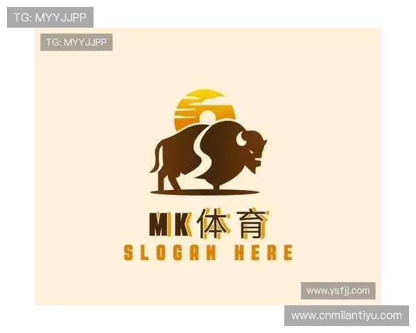 关于MK体育有限公司的全面介绍与发展历程解析